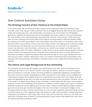 Gun Control Solutions Essay