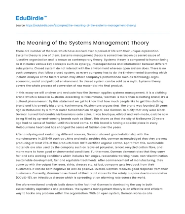 The Meaning of the Systems Management Theory