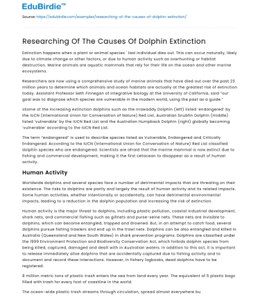 Researching Of The Causes Of Dolphin Extinction