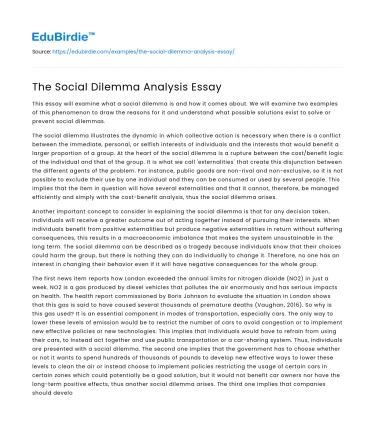 The Social Dilemma Analysis Essay