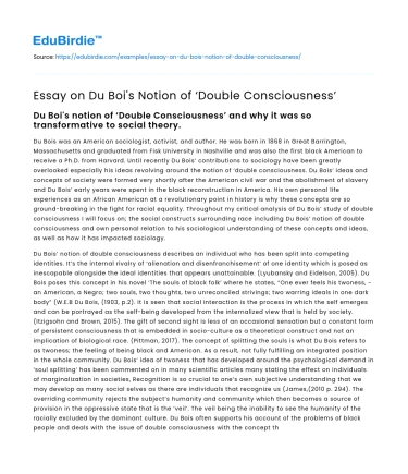 Essay on Du Boi’s Notion of ‘Double Consciousness’
