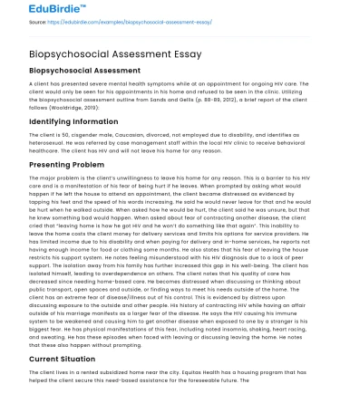 Biopsychosocial Assessment Essay