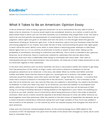 The Essence of American Identity