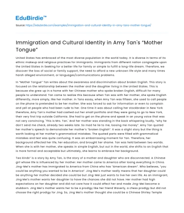 Immigration’s Impact on Cultural Identity in Amy Tan’s Work