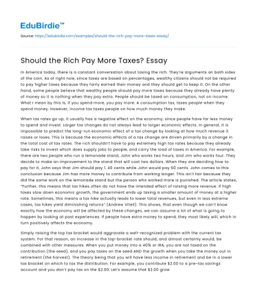 Should the Rich Pay More Taxes? Essay