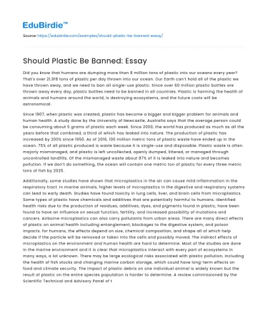 Should Plastic Be Banned: Essay