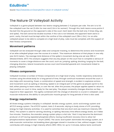 The Nature Of Volleyball Activity