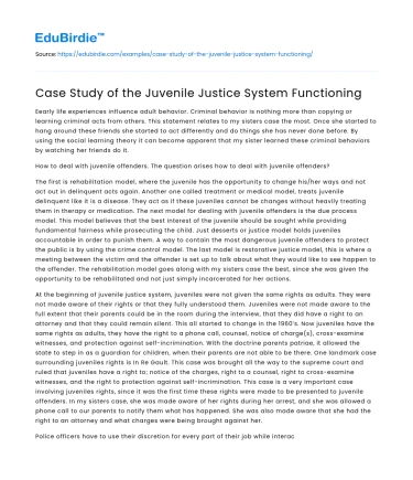 Case Study of the Juvenile Justice System Functioning