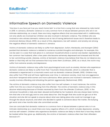 Informative Speech on Domestic Violence