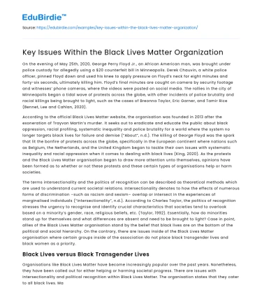 Key Issues Within the Black Lives Matter Organization
