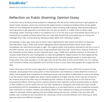 Public Shaming in Modern Society