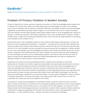 Privacy Invasion in the Digital Age