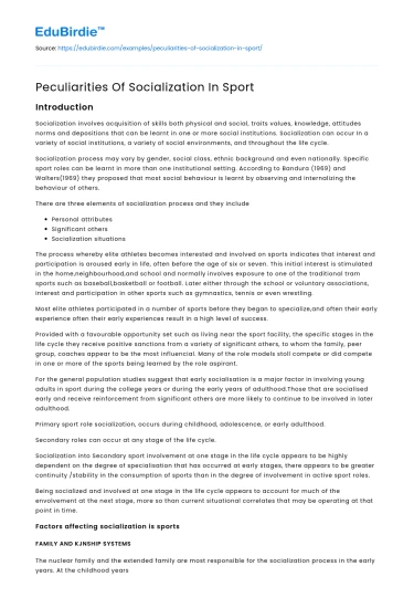 Peculiarities Of Socialization In Sport