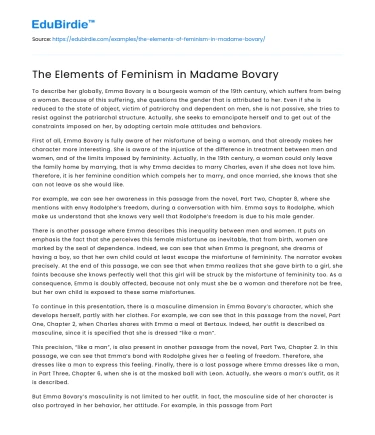 The Elements of Feminism in Madame Bovary