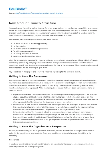 New Product Launch Structure