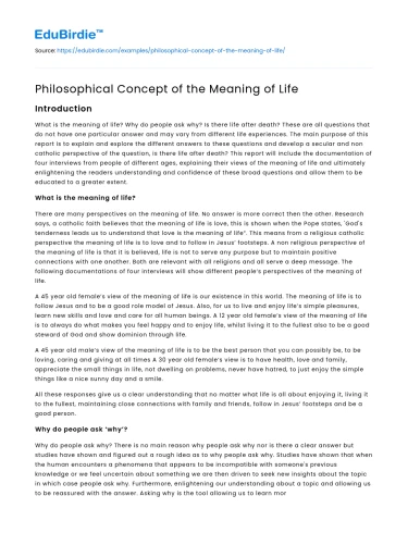 Philosophical Concept of the Meaning of Life