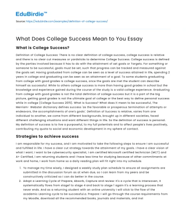 What Does College Success Mean to You Essay
