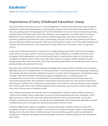 Importance of Early Childhood Education: Essay