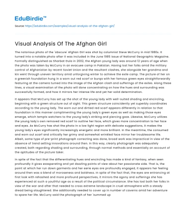 Visual Analysis Of The Afghan Girl