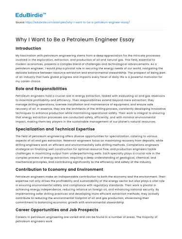 Why I Want to Be a Petroleum Engineer Essay