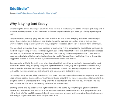 Why is Lying Bad Essay