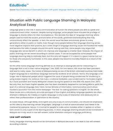 Situation with Public Language Shaming in Malaysia: Analytical Essay