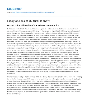 Essay on Loss of Cultural Identity