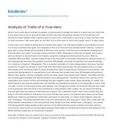 Analysis of Traits of a True Hero