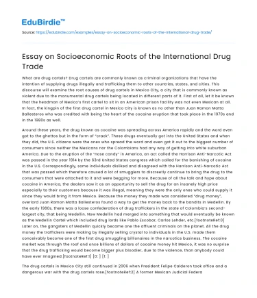 Essay on Socioeconomic Roots of the International Drug Trade