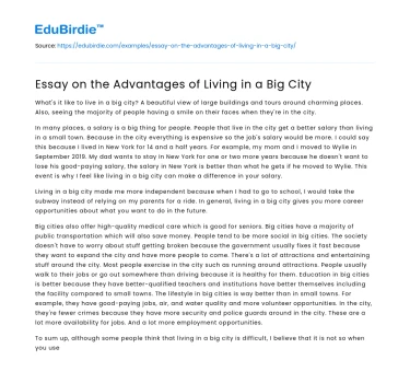 Essay on the Advantages of Living in a Big City