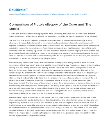 The Matrix and The Allegory of the Cave: Comparison