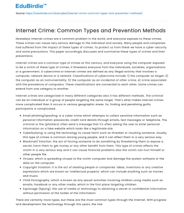 Internet Crime: Common Types and Prevention Methods