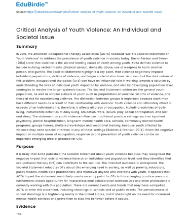 Critical Analysis of Youth Violence: An Individual and Societal Issue