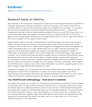 Research Essay on Asthma
