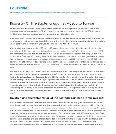 Bioassay Of The Bacteria Against Mosquito Larvae