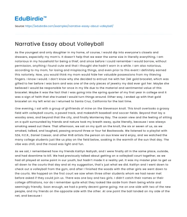 Narrative Essay about Volleyball