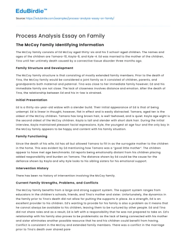 Process Analysis Essay on Family