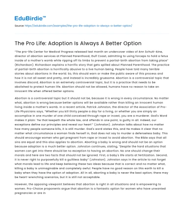 The Pro Life: Adoption Is Always A Better Option