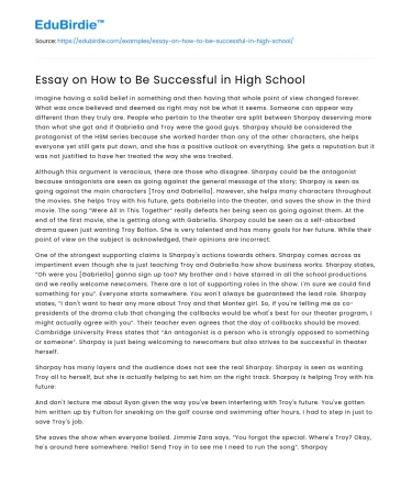 Essay on How to Be Successful in High School