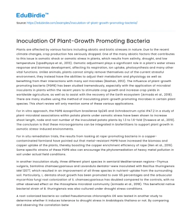 Inoculation Of Plant-Growth Promoting Bacteria