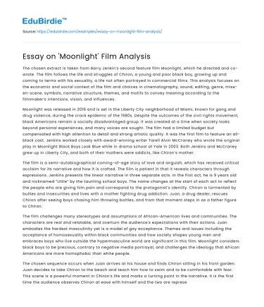 Essay on ‘Moonlight’ Film Analysis