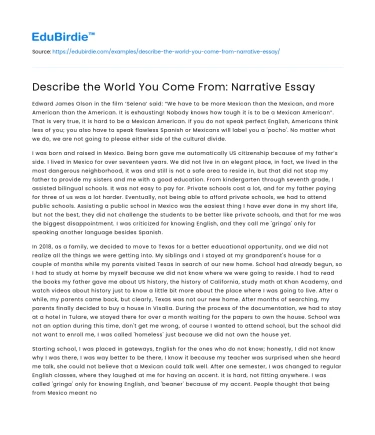 Describe the World You Come From: Narrative Essay