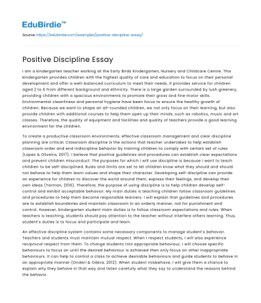 Positive Discipline Essay