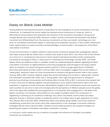 Essay on Black Lives Matter