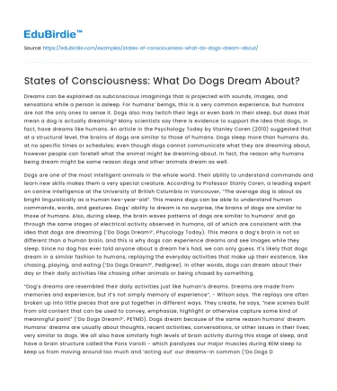 States of Consciousness: What Do Dogs Dream About?