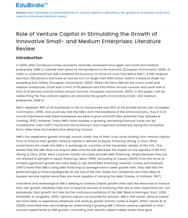Venture Capital’s Role in SME Growth: Literature Review