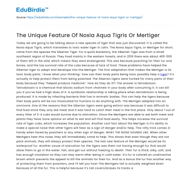 The Unique Feature Of Noxia Aqua Tigris Or Mertiger