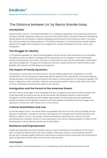 ‘The Distance between Us’ by Reyna Grande Essay