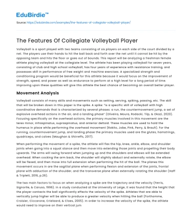 The Features Of Collegiate Volleyball Player