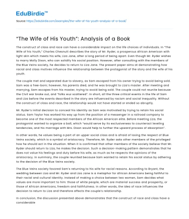 “The Wife of His Youth”: Analysis of a Book
